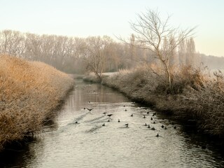 nature1