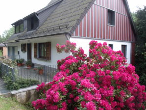 Maison de vacances Idylle de l'Eifel - Eichenbach - image1