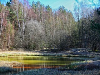 Apartment Sassenburg Environment 22