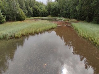 Apartment Sassenburg Environment 28