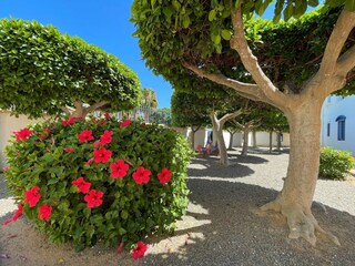 Appartement Roquetas de Mar Enregistrement extérieur 4