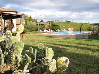 Parque de vacaciones Vinci Grabación al aire libre 2
