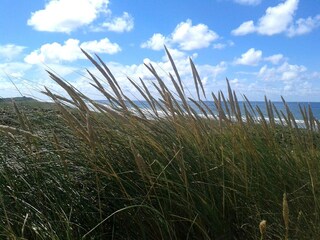 Casa per le vacanze Lubiatowo Ambiente 31
