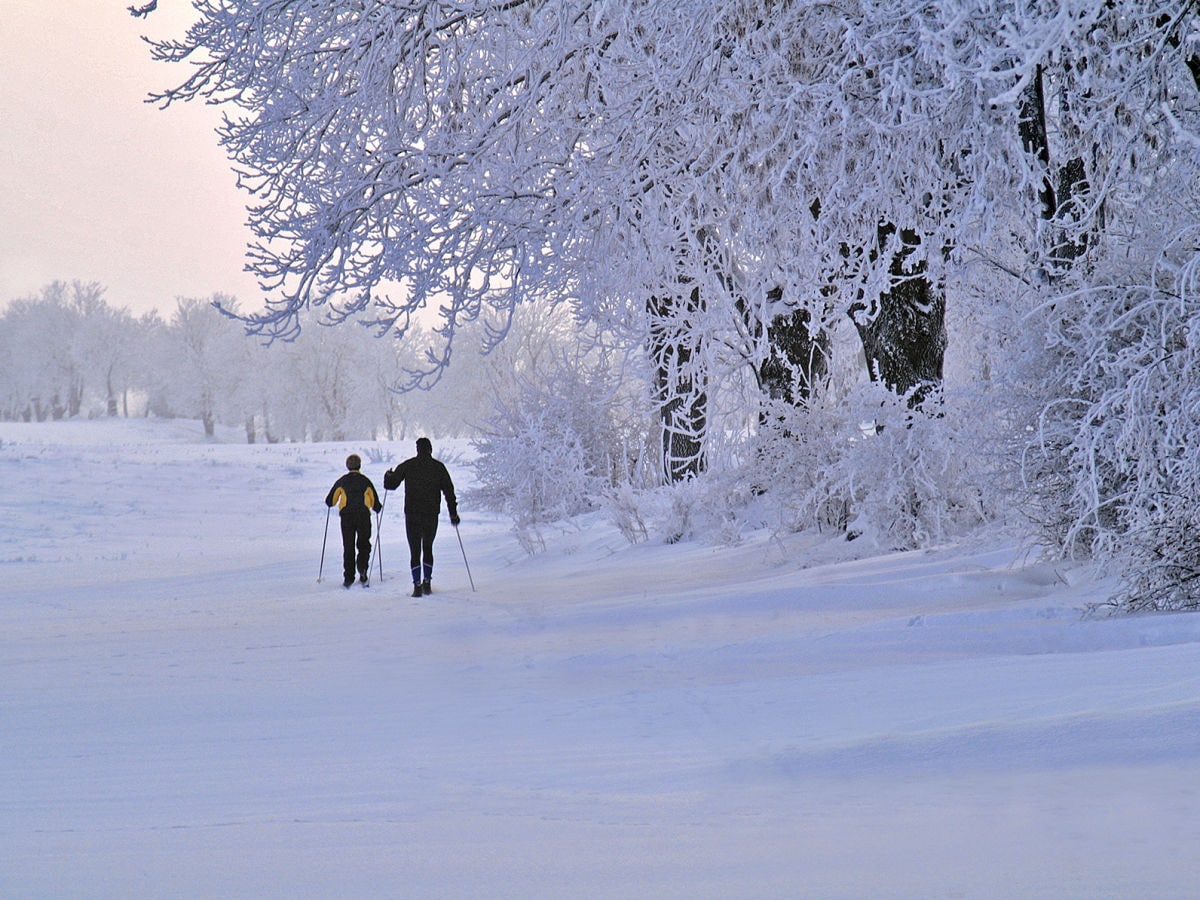 Schiwandern im Winter