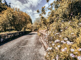 Casa de vacaciones Colares Grabación al aire libre 6