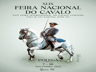 Appartamento Torres Novas  36