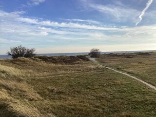 Ferienhaus Marielyst Außenaufnahme 4
