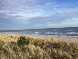 Ferienhaus Marielyst Außenaufnahme 11