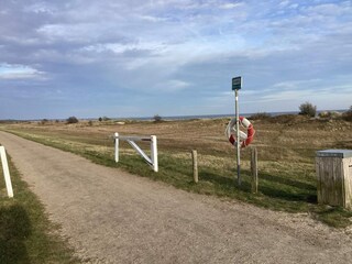 Ferienhaus Marielyst Außenaufnahme 13