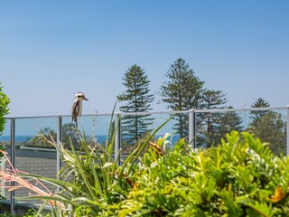 Appartement Welt Enregistrement extérieur 3