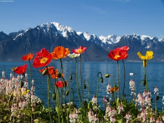 Ferienhaus Frutigen Umgebung 25