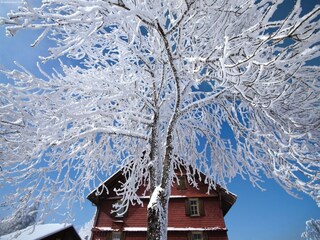 Casa de vacaciones Frutigen Entorno 23