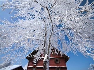 Ferienhaus Frutigen Umgebung 23