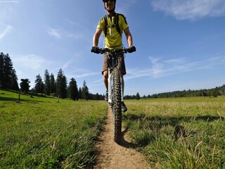 Casa per le vacanze Frutigen Ambiente 20