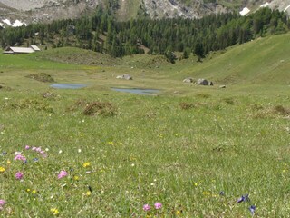 Holiday house Frutigen Environment 29