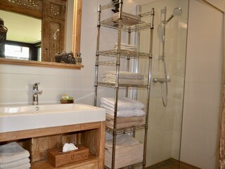 Villa Bergen (Holland) Caratteristiche 28