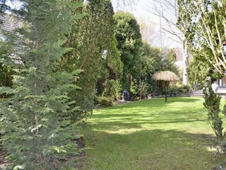 Villa Bergen (Holland) Caratteristiche 33