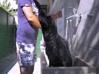 Parc de vacances Peschiera del Garda Environnement 31