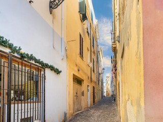 Apartment Alghero Environment 27