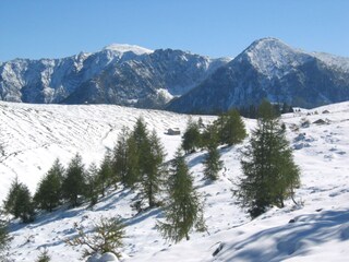 Vakantieappartement Strasswalchen Omgeving 22