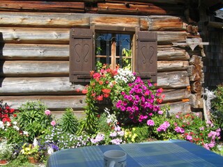 Appartamento per vacanze Strasswalchen Ambiente 23