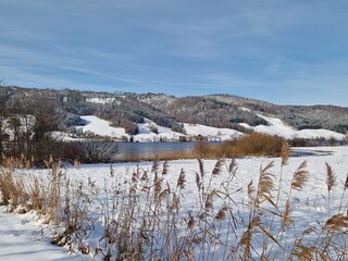 Vakantieappartement Strasswalchen Omgeving 30