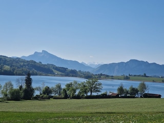 Irrsee mit Blick zum Schafberg