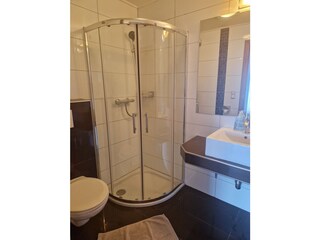 Vakantieappartement Strasswalchen Kenmerken 11