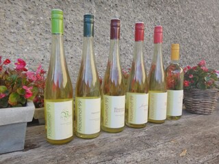 Appartamento per vacanze Klosterneuburg Ambiente 17