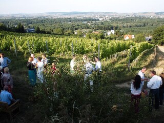 Appartamento per vacanze Klosterneuburg Registrazione all'aperto 6