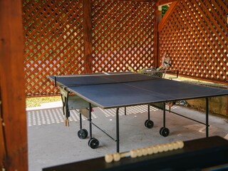 Holiday house Ogulin  13