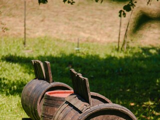 Ferienhaus Ogulin  16