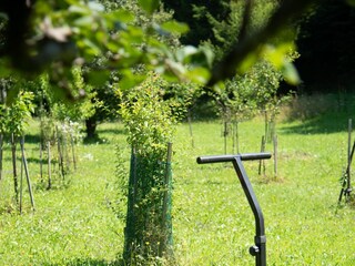 Ferienhaus Ogulin  21