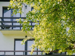 Ferienhaus Ogulin  24