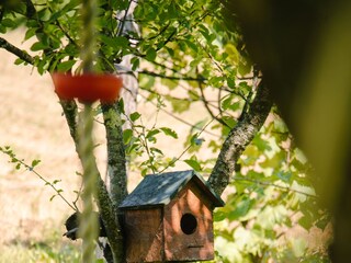 Ferienhaus Ogulin  29