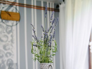 Ferienhaus Ogulin  42