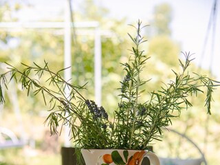 Ferienhaus Ogulin  68