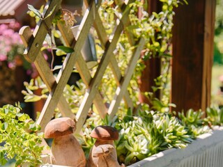 Ferienhaus Ogulin  70