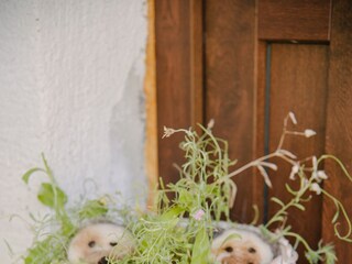 Ferienhaus Ogulin  71