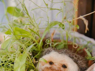 Ferienhaus Ogulin  72