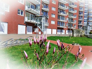 Ferienwohnung Sahlenburg Außenaufnahme 34