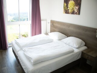 Appartamento Winterberg Caratteristiche 13