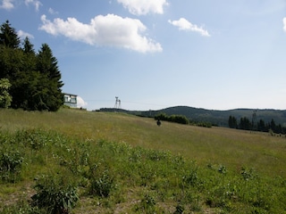 Apartment Winterberg Environment 31