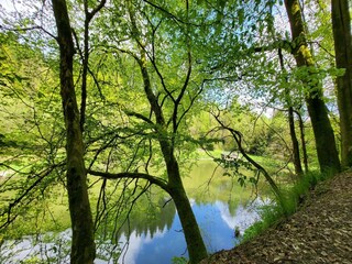 Apartment Winterberg Environment 36