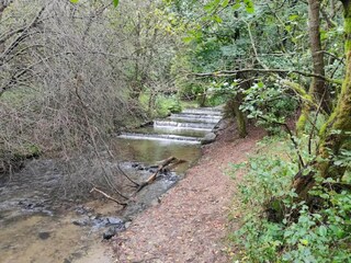 Apartment Olsberg Umgebung 39