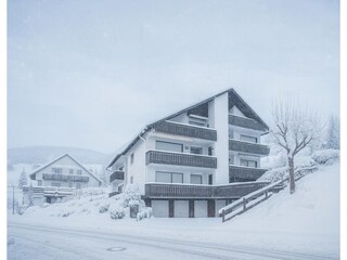 Apartment Olsberg Outdoor Recording 7