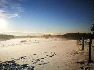 Apartment Winterberg Environment 18