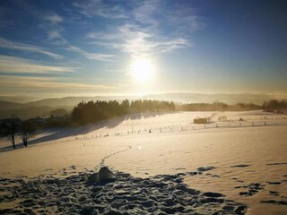 Appartement Winterberg Omgeving 35