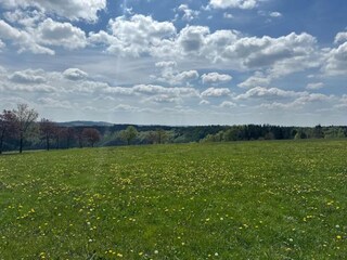 Appartement Winterberg Omgeving 27