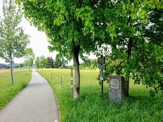 Apartment Winterberg Environment 28